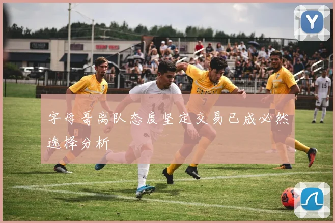 字母哥离队态度坚定交易已成必然选择分析