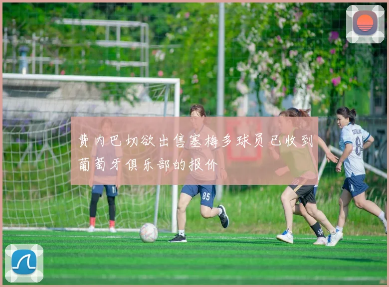 费内巴切欲出售塞梅多球员已收到葡萄牙俱乐部的报价