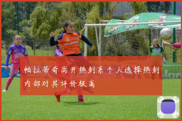 帕拉蒂奇离开热刺系个人选择热刺内部对其评价极高